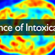 Illustration for article titled This is what your brain on drugs emreally/em looks like